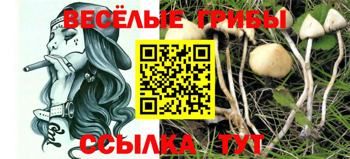 Псилоцибиновые грибы мицелий Пыть-Ях